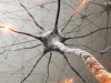 Ремонт ДНК у «стареющего» нейрона указывает на потенциальные мишени для терапии возрастных патологий мозга