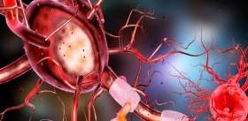 Терапия инсульта: заглушить молекулярный «сигнал бедствия» от погибших нейронов