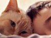 Гипоаллергенные кошки – почти реальность