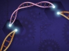 Новый вариант «редактора» генома – против болезнетворных мутаций