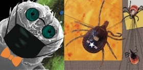 Eight-Legged Soldiers #Myths and Conspiracy Theories around Tick-Borne Infections