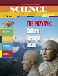 The Pazyryk: Culture Through Faces