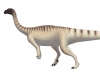 Динозавры «паслись» стадами почти 200 млн лет назад