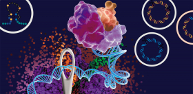Ферменты для ДНК: скальпели, ножницы и швейные иголки
