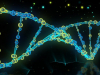 Редактировать геном, не затрагивая его структуру, безопаснее
