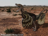 Перья и теплокровность позволили выжить ранним динозаврам
