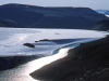 Древняя ДНК «рассказала», каким был живой мир Гренландии 2 млн лет назад