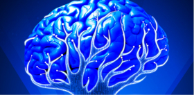 Эволюция мозга человека: между разумом и безумием