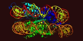 SARS-CoV-2 меняет архитектуру генетического материала клетки 