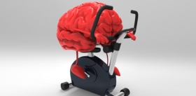 Физкультура и «мозги» – есть связь?