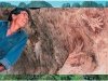 Наскальная живопись Сулавеси: # 40 тысяч лет спустя 