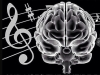 По записям активности мозга можно «проиграть» услышанную музыку