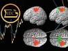 Интерактивный мозг – что это такое?