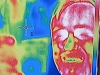 Биологический возраст человека можно определить по температуре его носа?