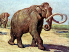Североамериканские мамонты активно практиковали межвидовую гибридизацию