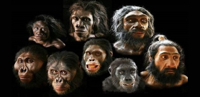 Колыбель человека разумного может поменять «черный» африканский цвет на «желтый» азиатский