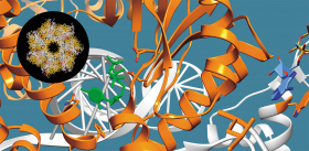 Плоды гражданской науки – молекулярные «инструменты» для генетических технологий 