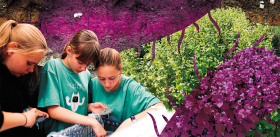 Невидимые фермеры и агрономы # Как почвенные бактерии меняют будущее сельского хозяйства 