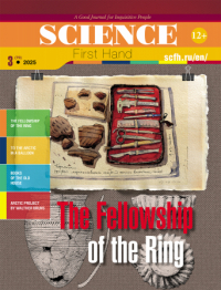 The Fellowship of the Ring