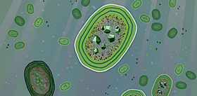 Аэробные организмы появились в бескислородной атмосфере?