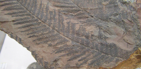 Травоядные позвоночные «постарели» на 100 млн лет