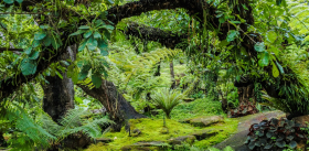 Взаимовыручка вместо конкуренции: теплый «юг» дружелюбнее холодного «севера»