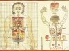 Уроки тибетской медицины