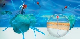 Bacteriophages: The Enemies of Our Enemies